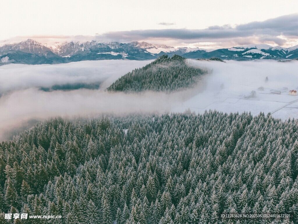 山林云海间的壮美景观