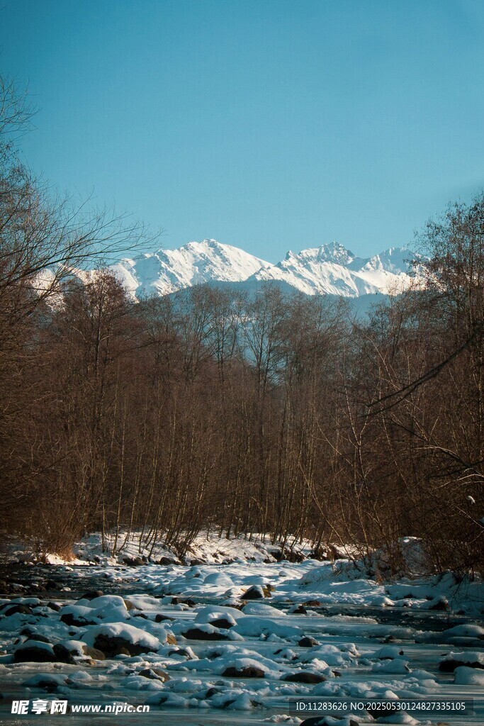 雪山下的溪流冬日景致