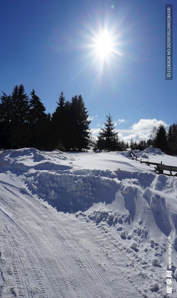冬日雪野阳光闪耀美景