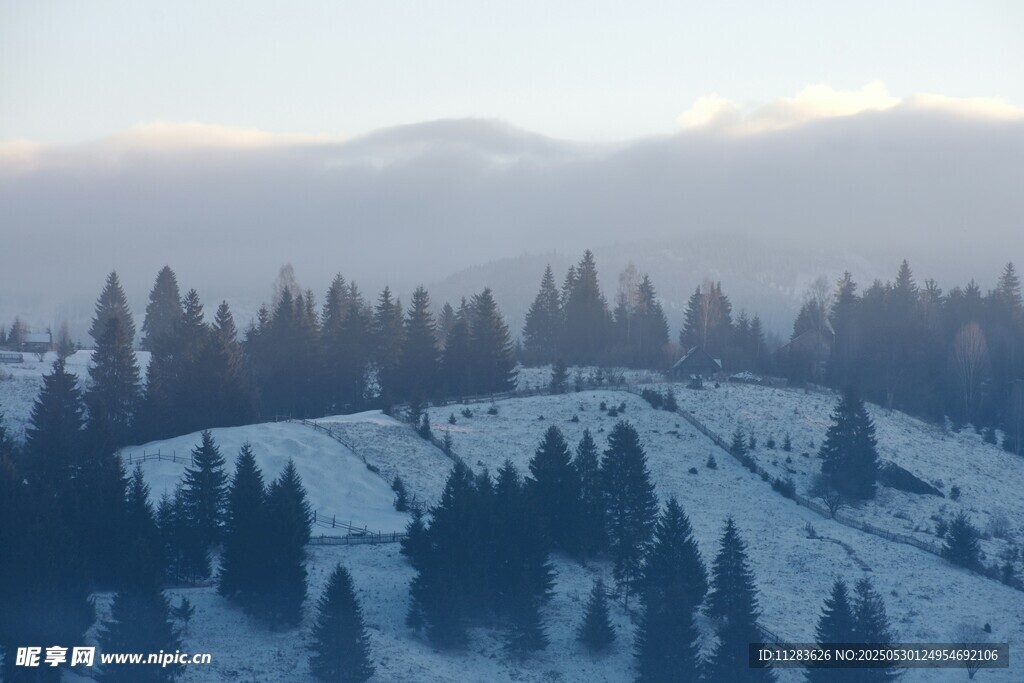 冬日雪覆山林美景