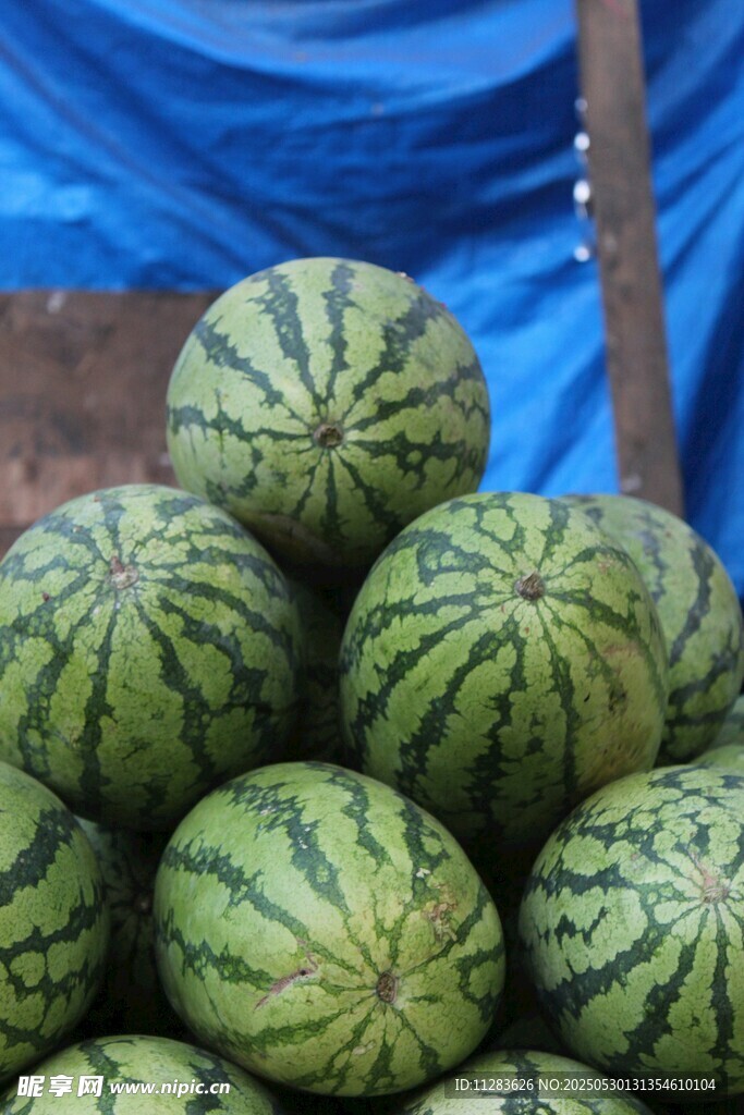 一堆新鲜的大西瓜