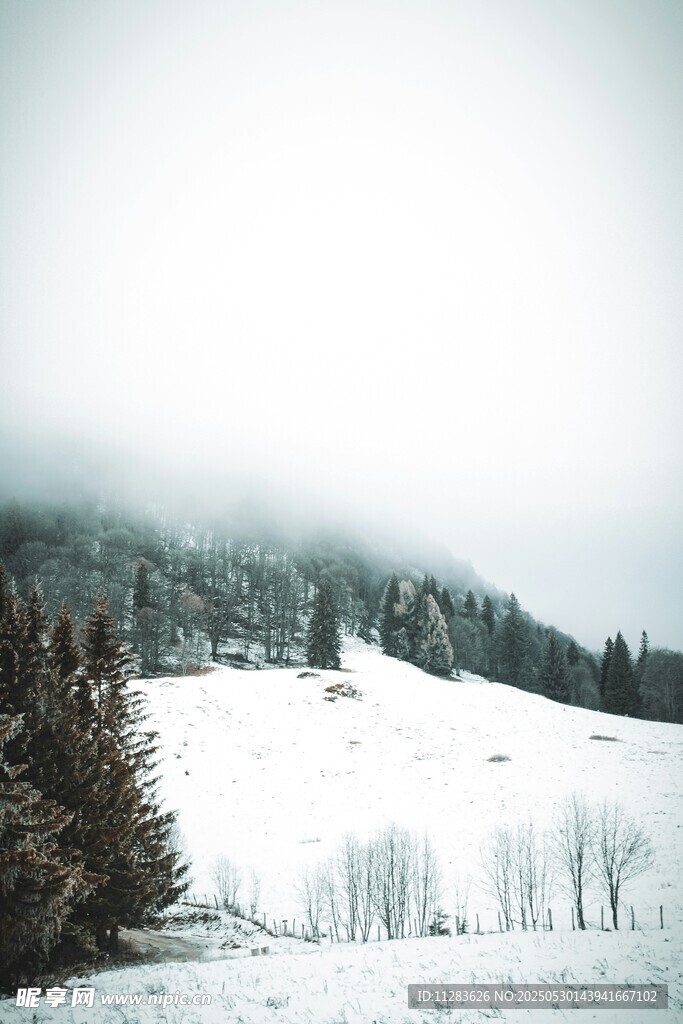 雪覆山林的静谧冬日景象