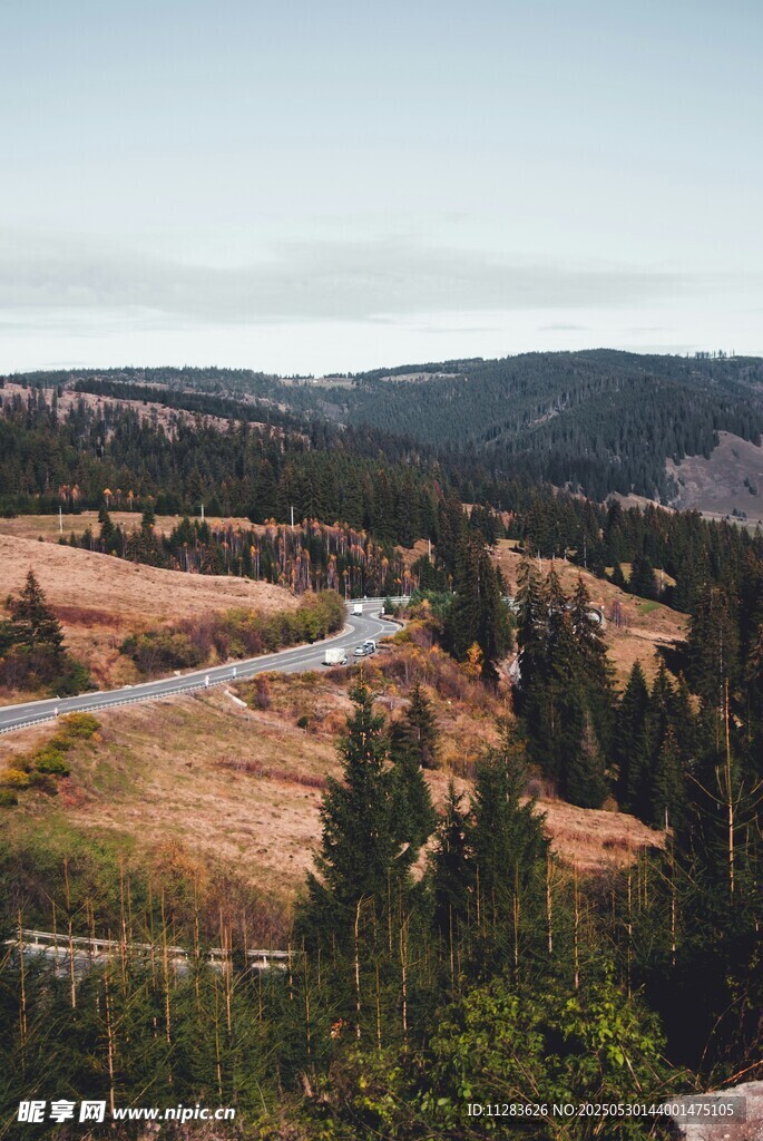 山间蜿蜒公路与葱郁树林