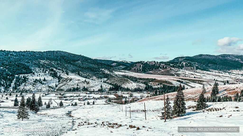 冬日雪山松林美景