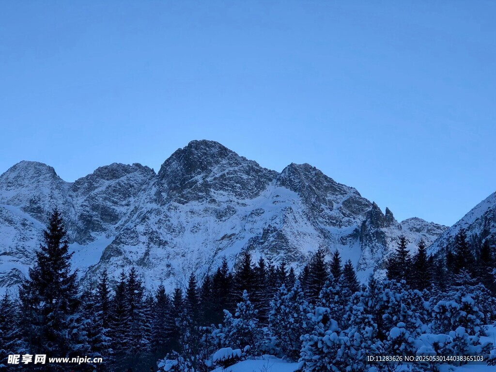 雪覆山峦与松林美景