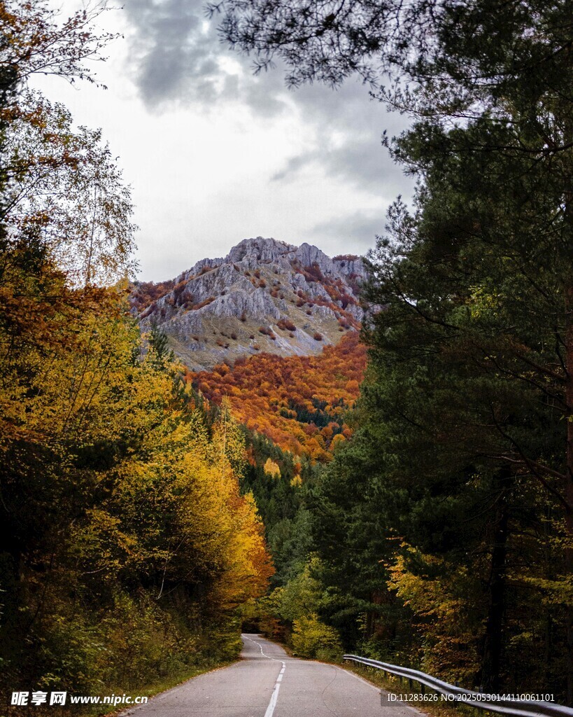 秋日山间公路美景