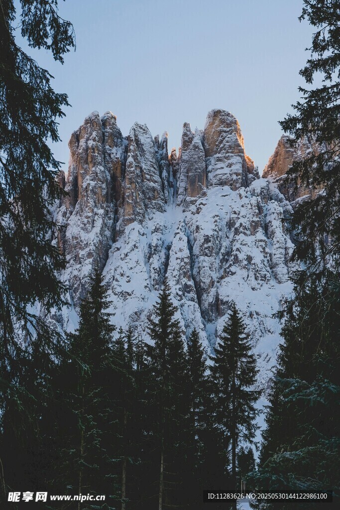 雪覆山峦间的葱郁林木