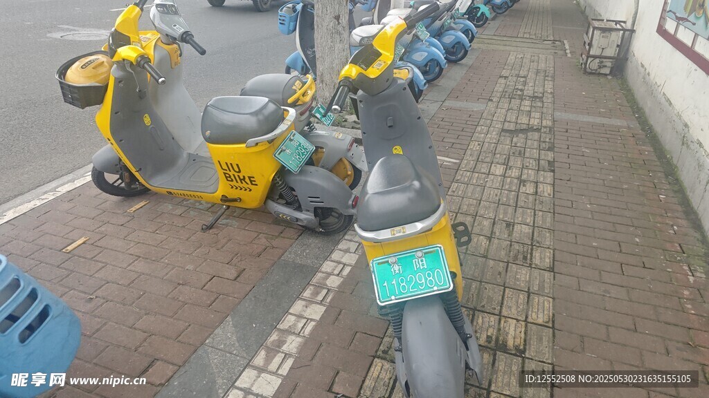 路边停放的多辆共享电动车