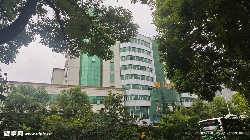 绿树环绕的现代建筑