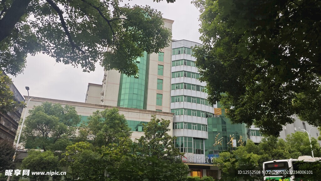绿树环绕的现代建筑