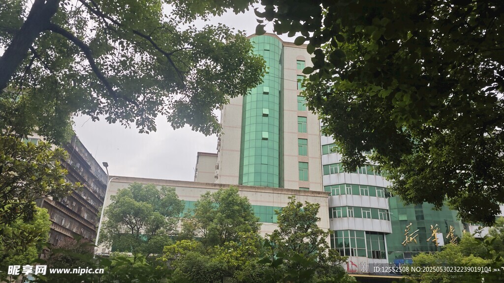 绿树环绕的现代高楼建筑