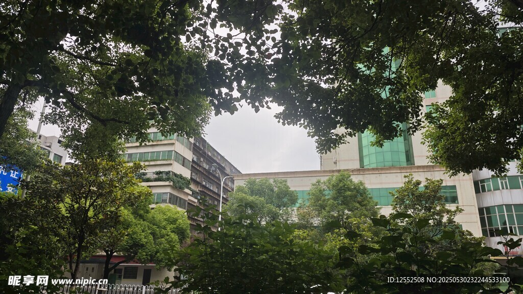 绿树掩映中的建筑一角