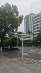 城市街道旁的高楼与绿树