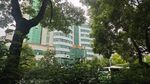 绿树环绕中的现代建筑