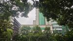 绿树掩映中的现代建筑