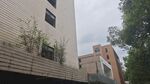 现代建筑旁的绿植景观