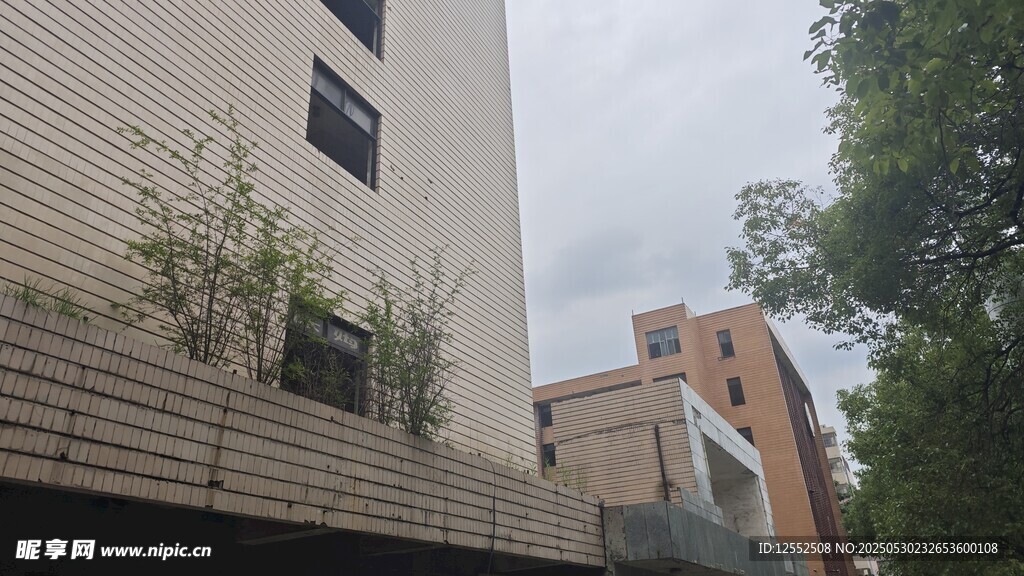 现代建筑旁的绿植景观
