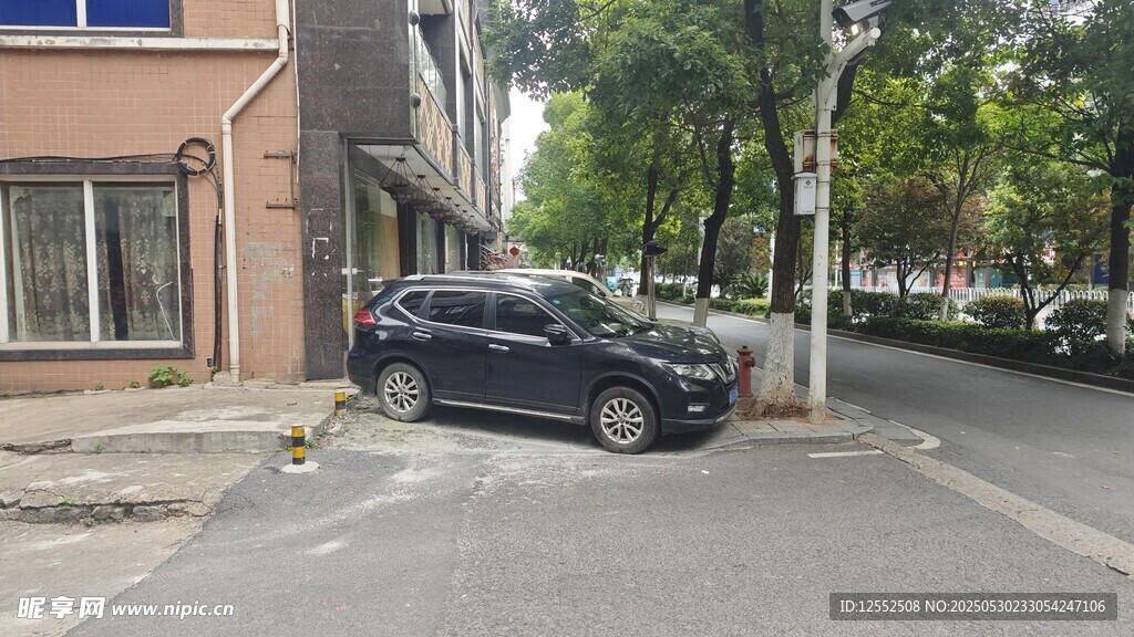 路边停放的深色SUV车辆