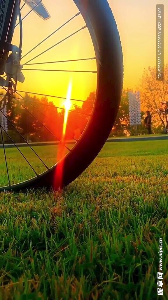 夕阳下的自行车轮与草地