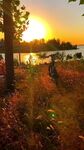 秋日湖畔夕阳下的静谧小径