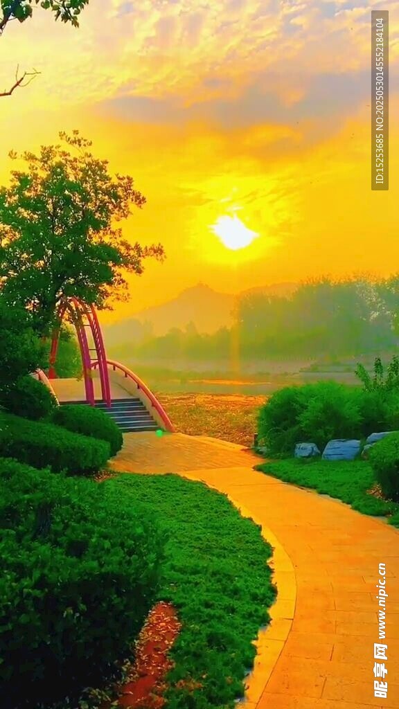 夕阳下的林间小径美景