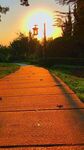 夕阳下的林间步道