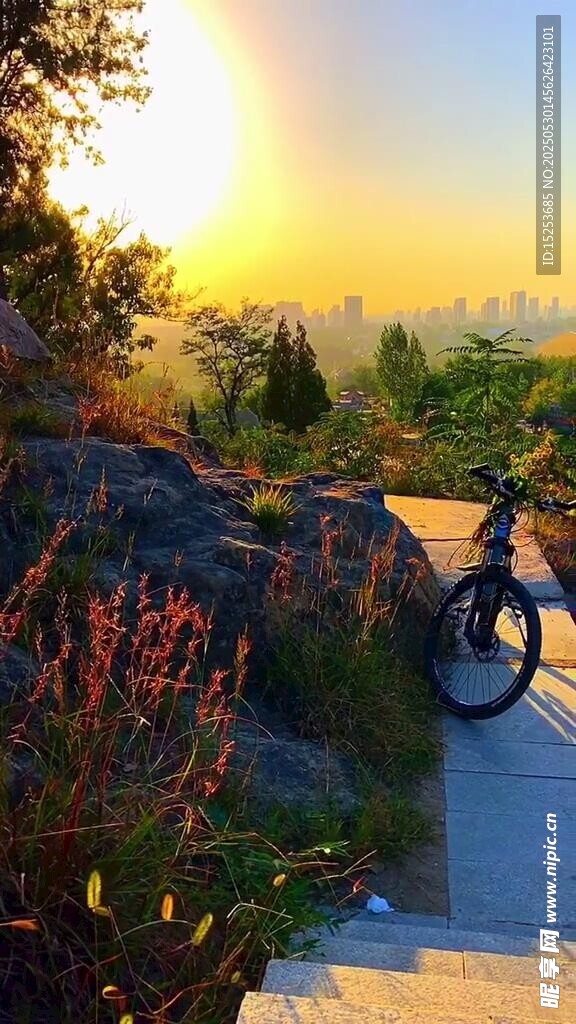 夕阳下的骑行美景
