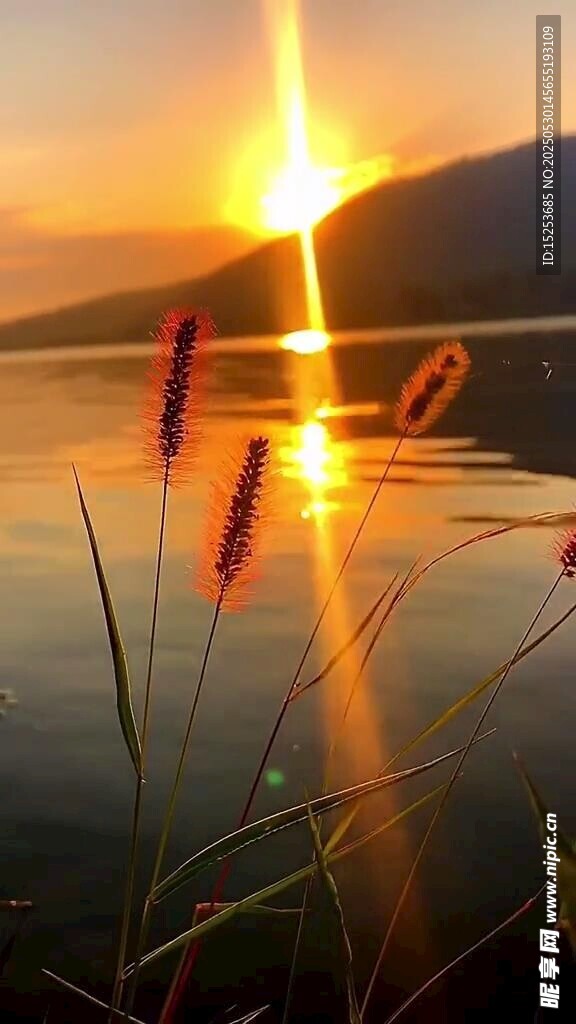湖畔夕阳下的美丽景致