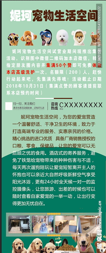 宠物