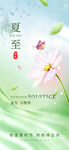创意意境夏至节气