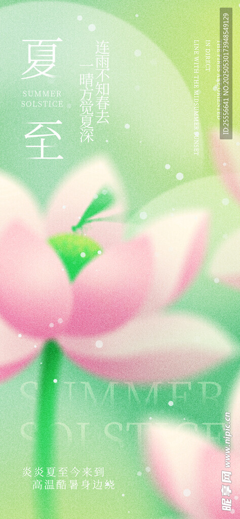 二十四节气夏至海报