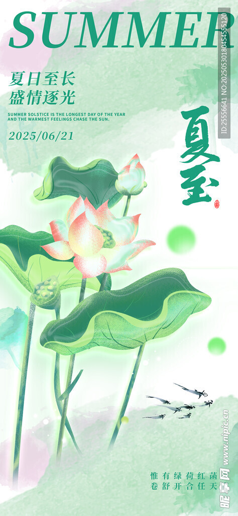 新中式24节气夏至海报