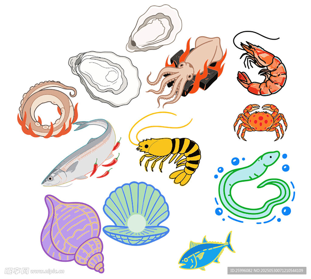 多样海洋生物与贝壳集合