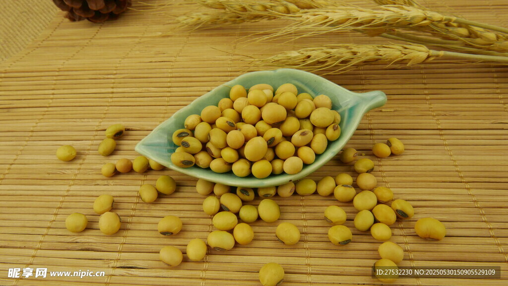 木勺中的饱满新鲜黄豆
