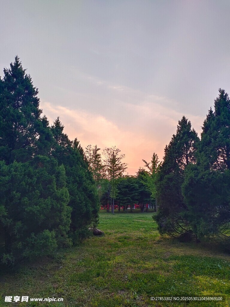 黄昏下的林间草地美景