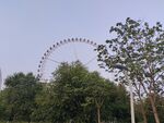 绿树掩映下的摩天轮