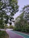公园彩色步道绿树环绕