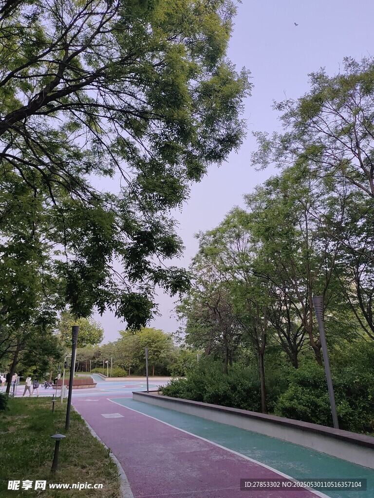 公园彩色步道绿树环绕