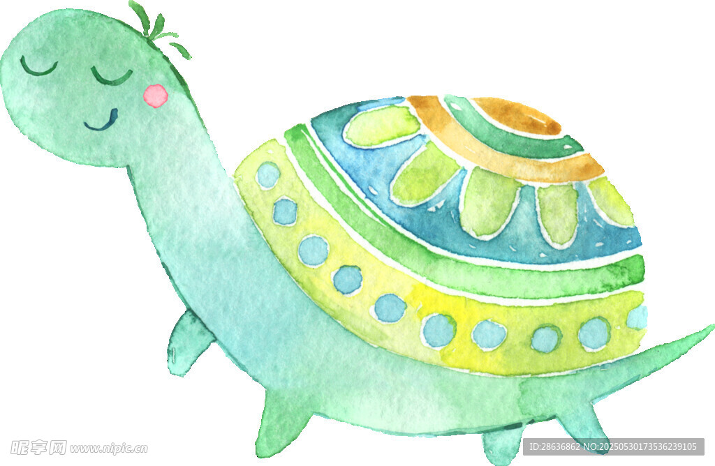 彩色卡通乌龟插画