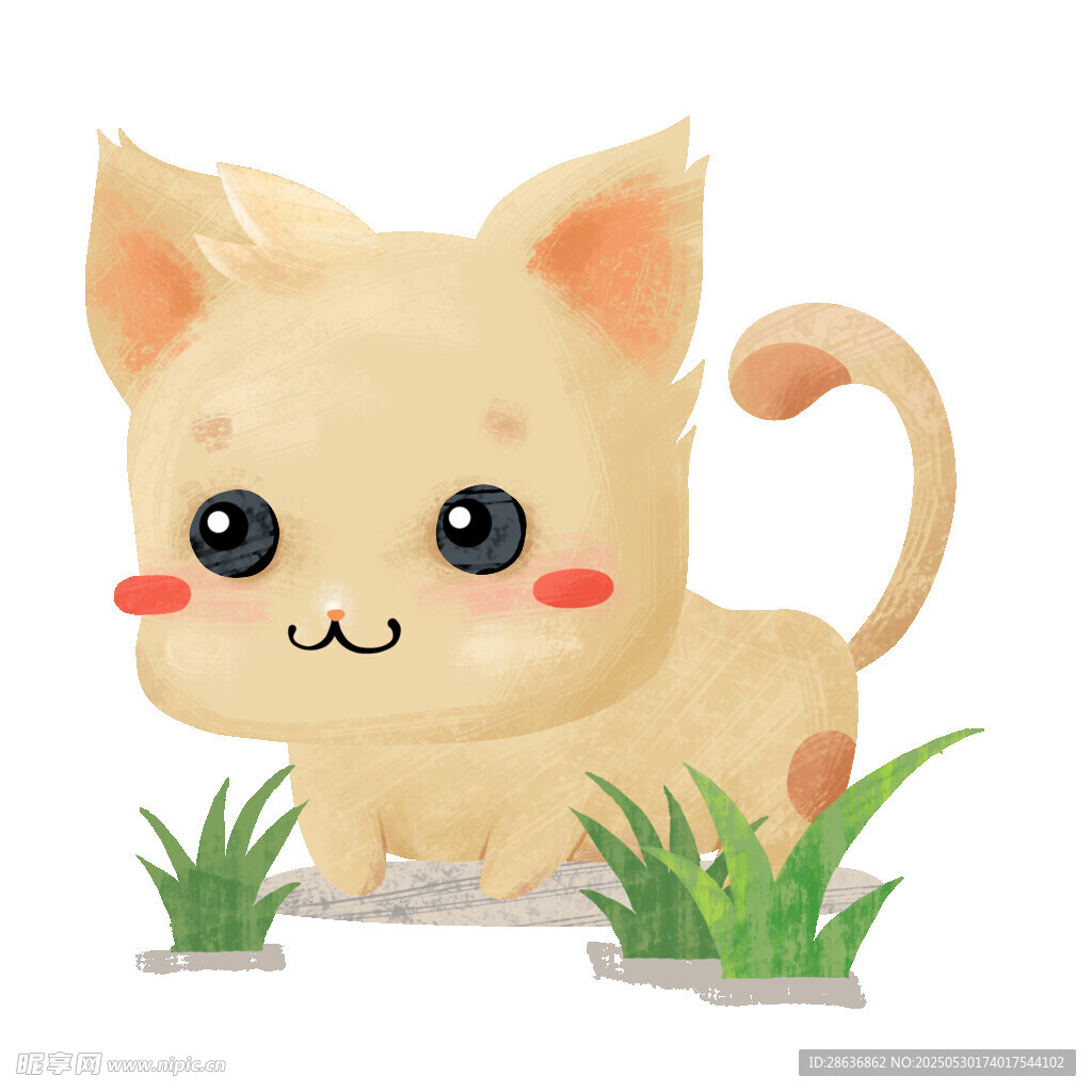 可爱小猫在草地