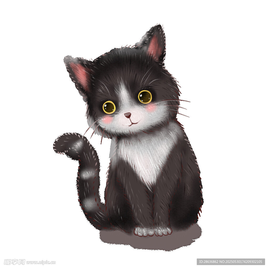 可爱黑白色猫咪插画