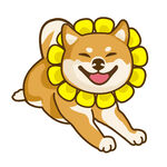戴花环奔跑的可爱柴犬