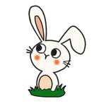可爱白兔站在绿草地上
