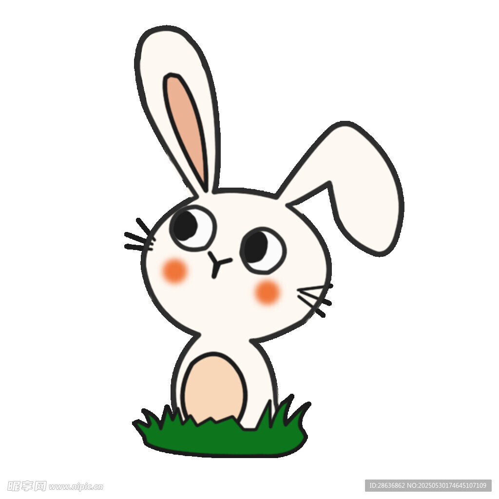 可爱白兔站在绿草地上