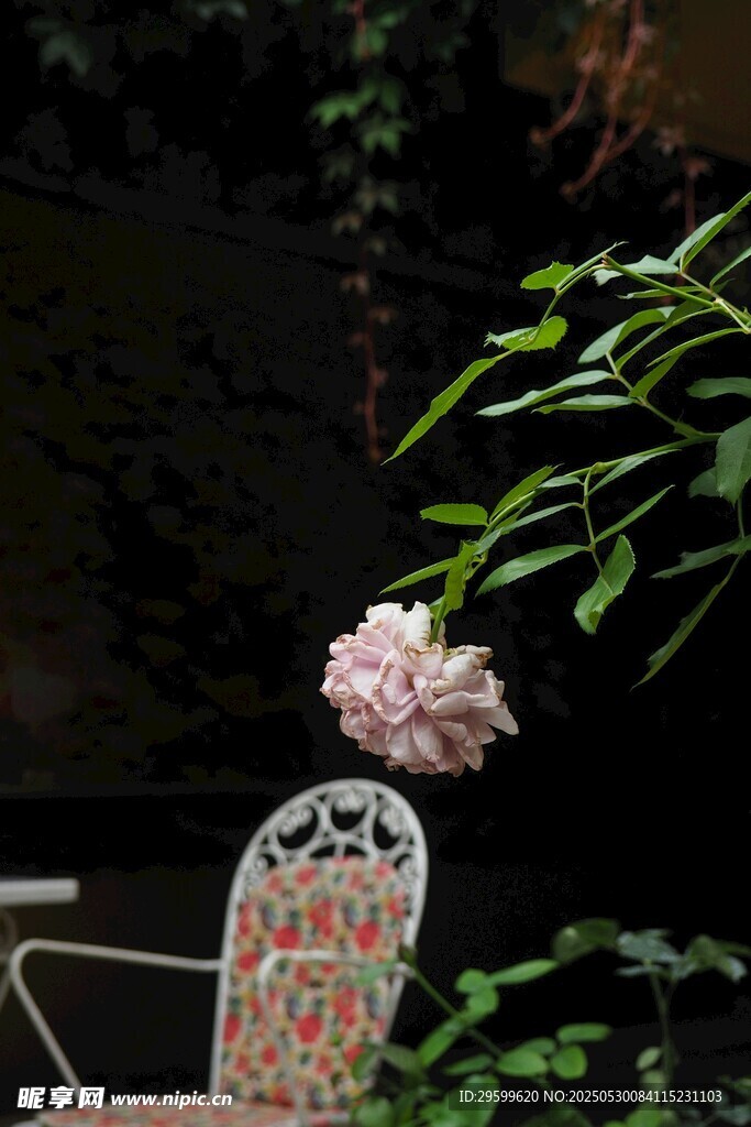椅上粉花 静谧美好瞬间