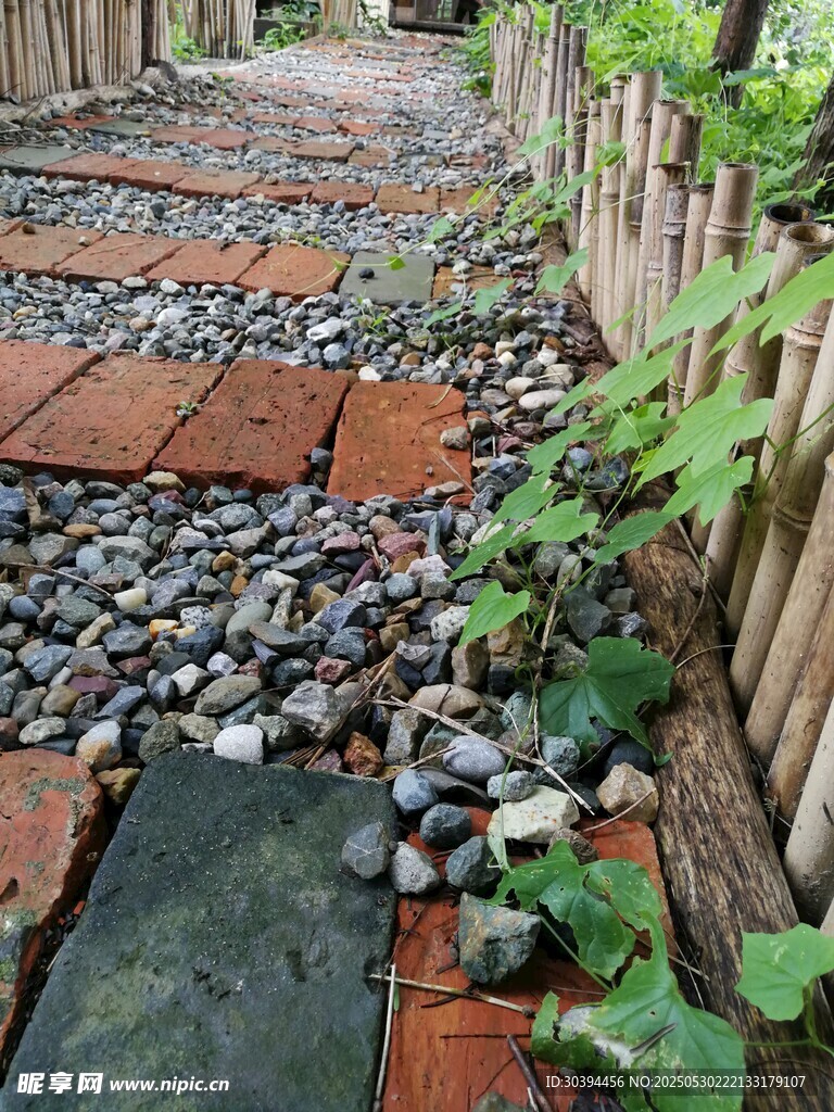 庭院碎石小径绿植相伴