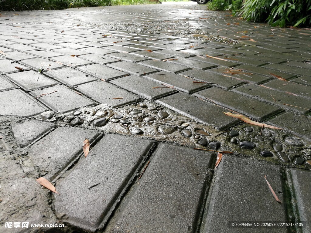 雨后石板路的清新景致