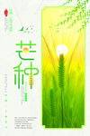 芒种