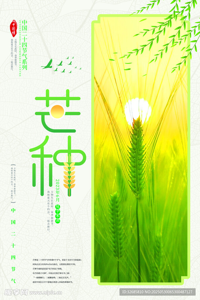 芒种