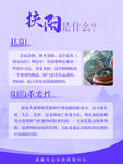 扶阳是什么